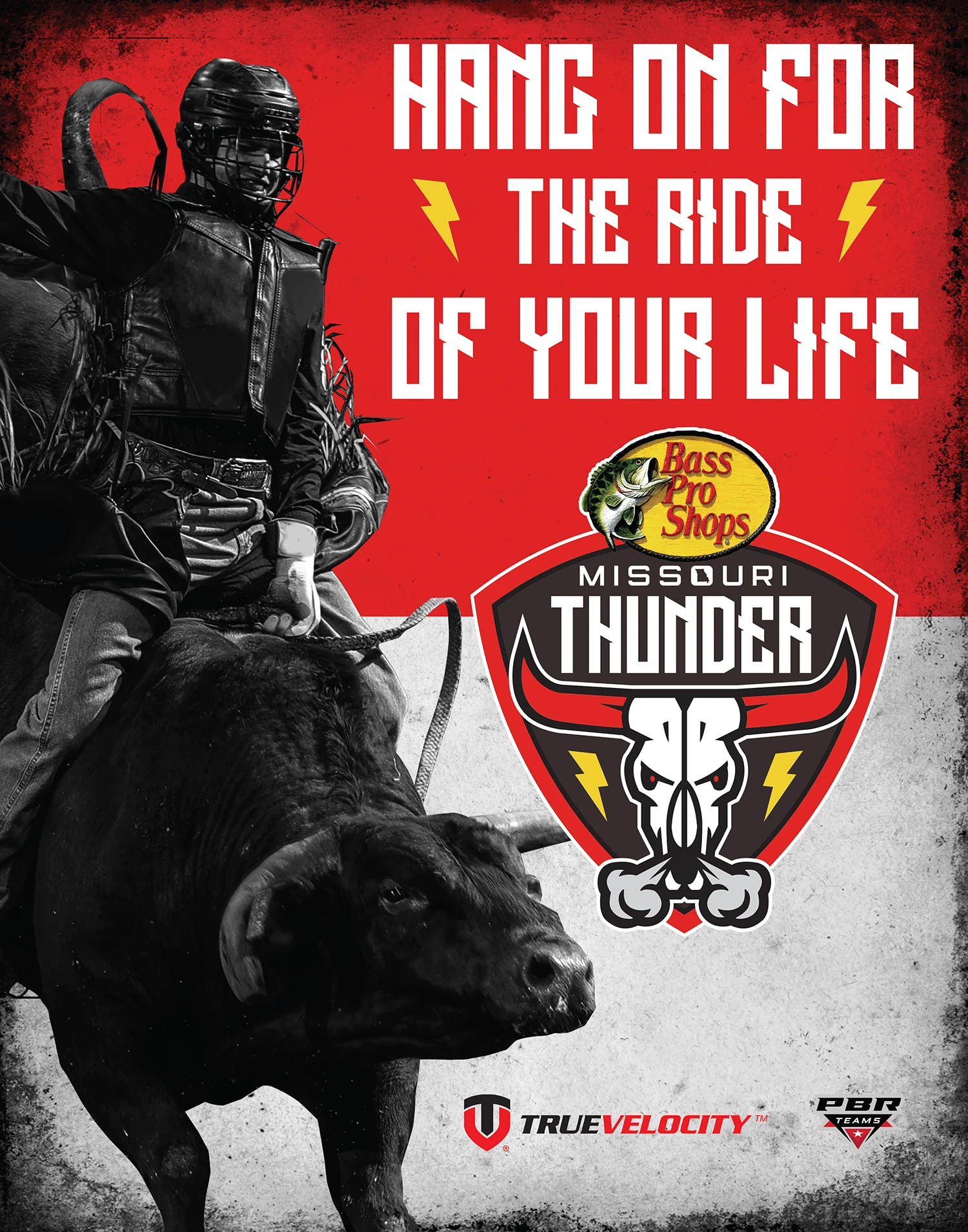Hang on for the ride of your life promotional sign artwork.