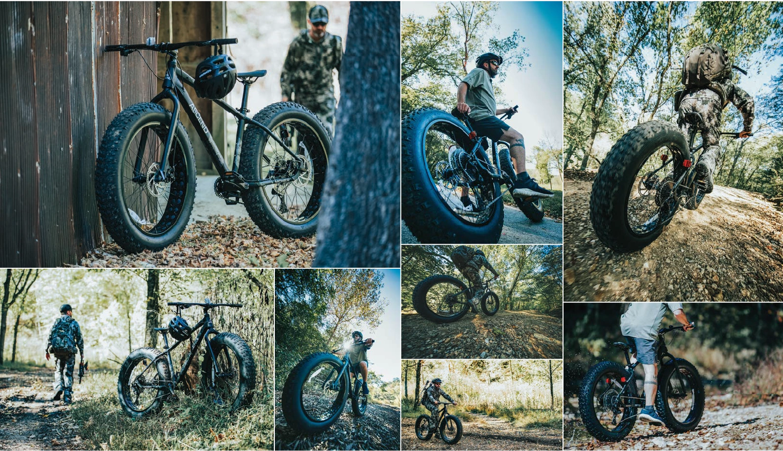 Collage of fat-tire bicycles and riders on wooded trails.